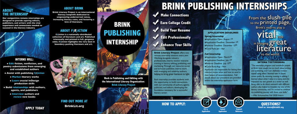 Brink Internship Brochure 2022